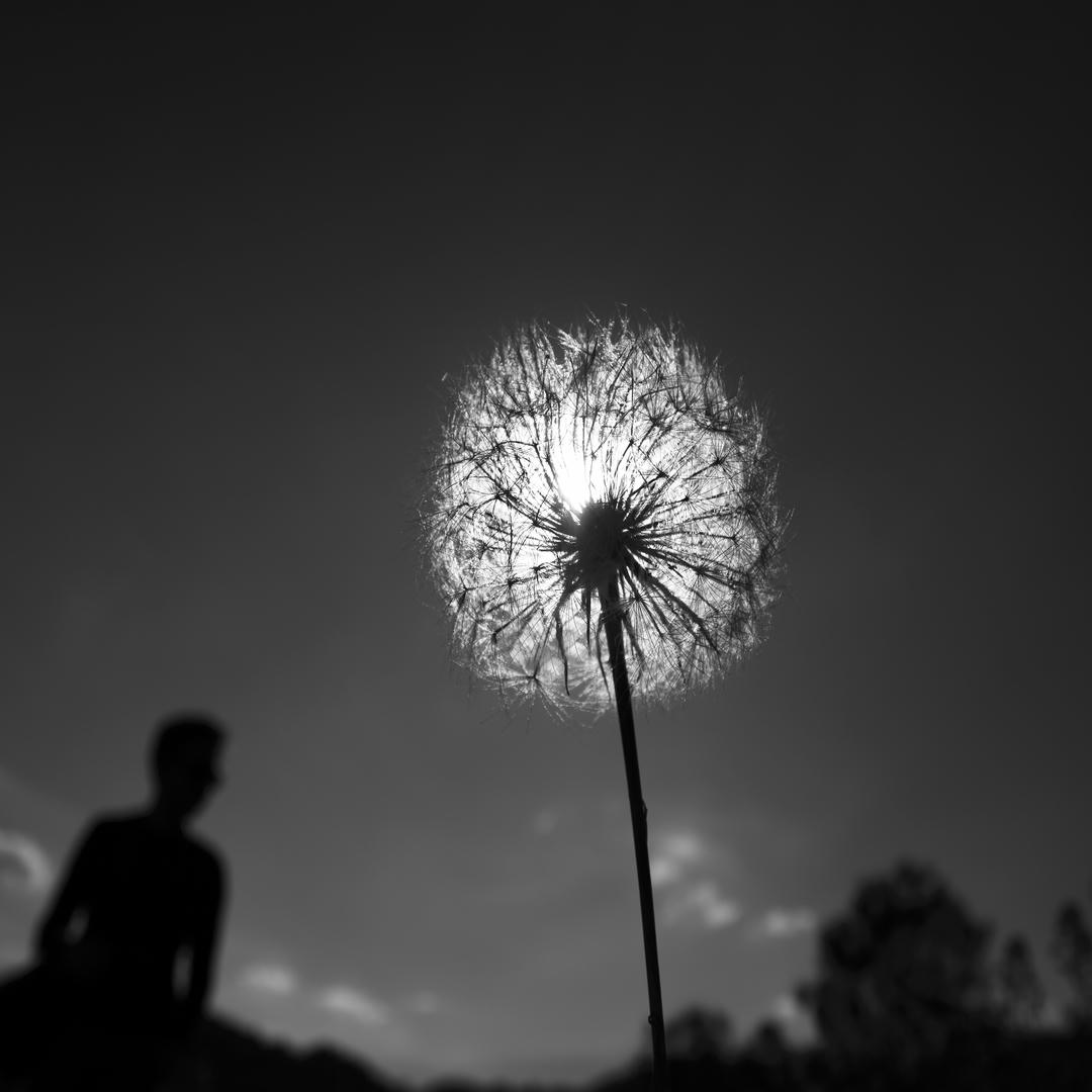 Aria — 12