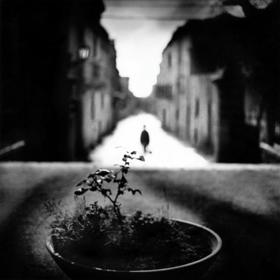 L'isola intima — 7