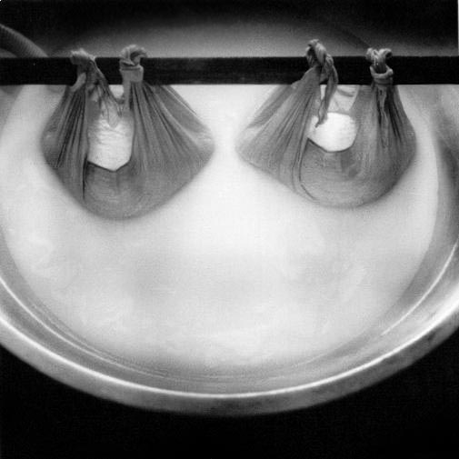 Le strade del latte — 8
