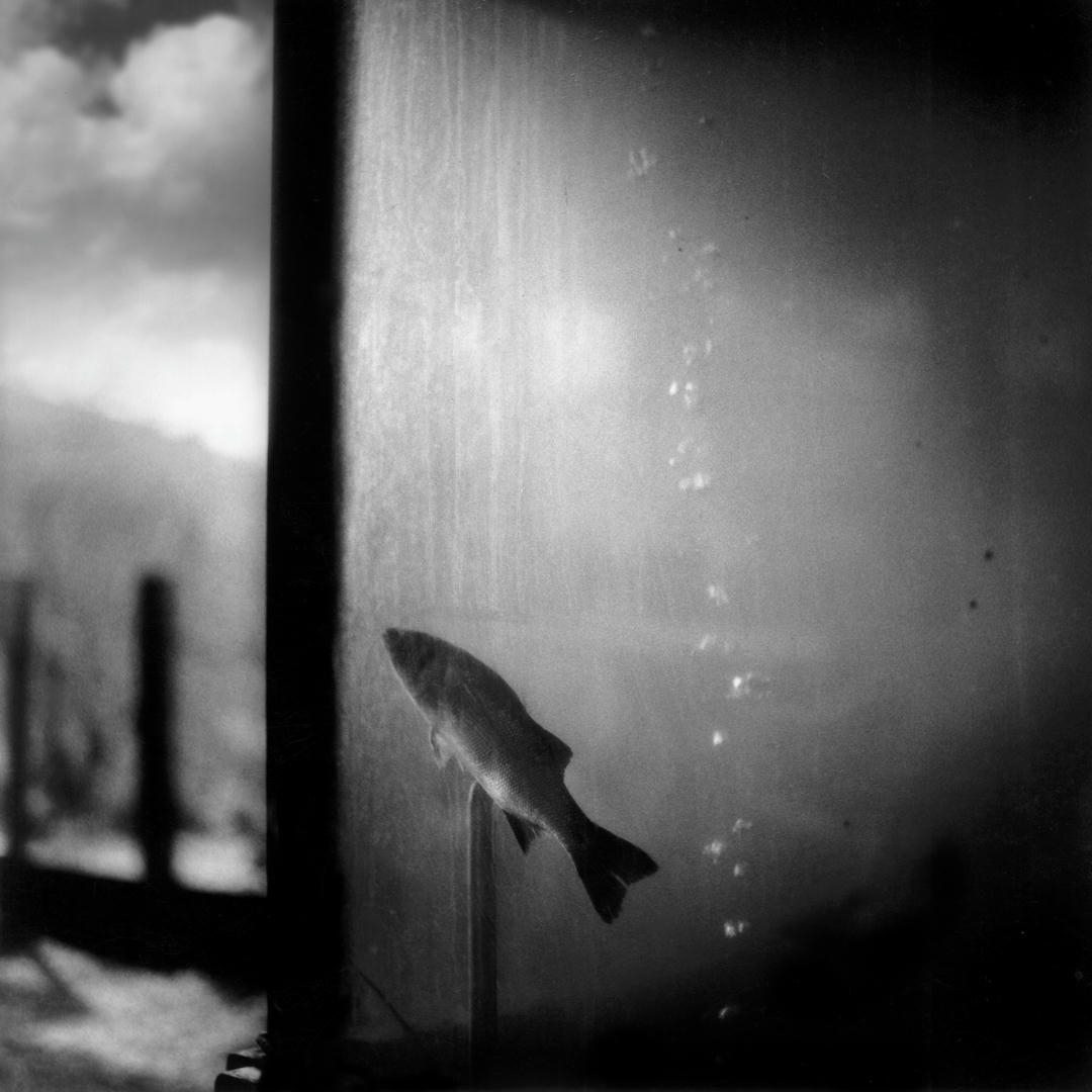 Luoghi Privati — 7