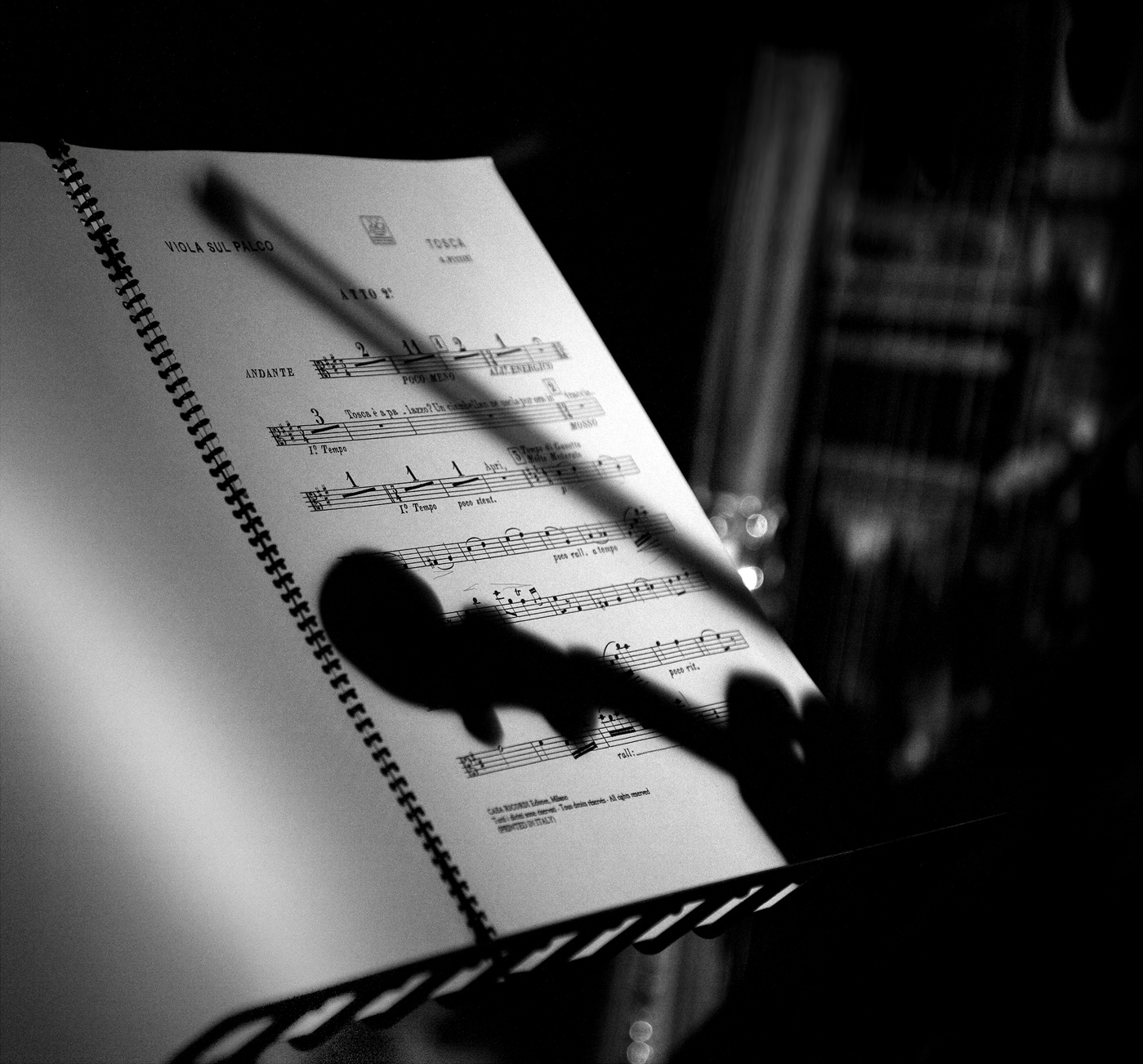 Note di luce — 12