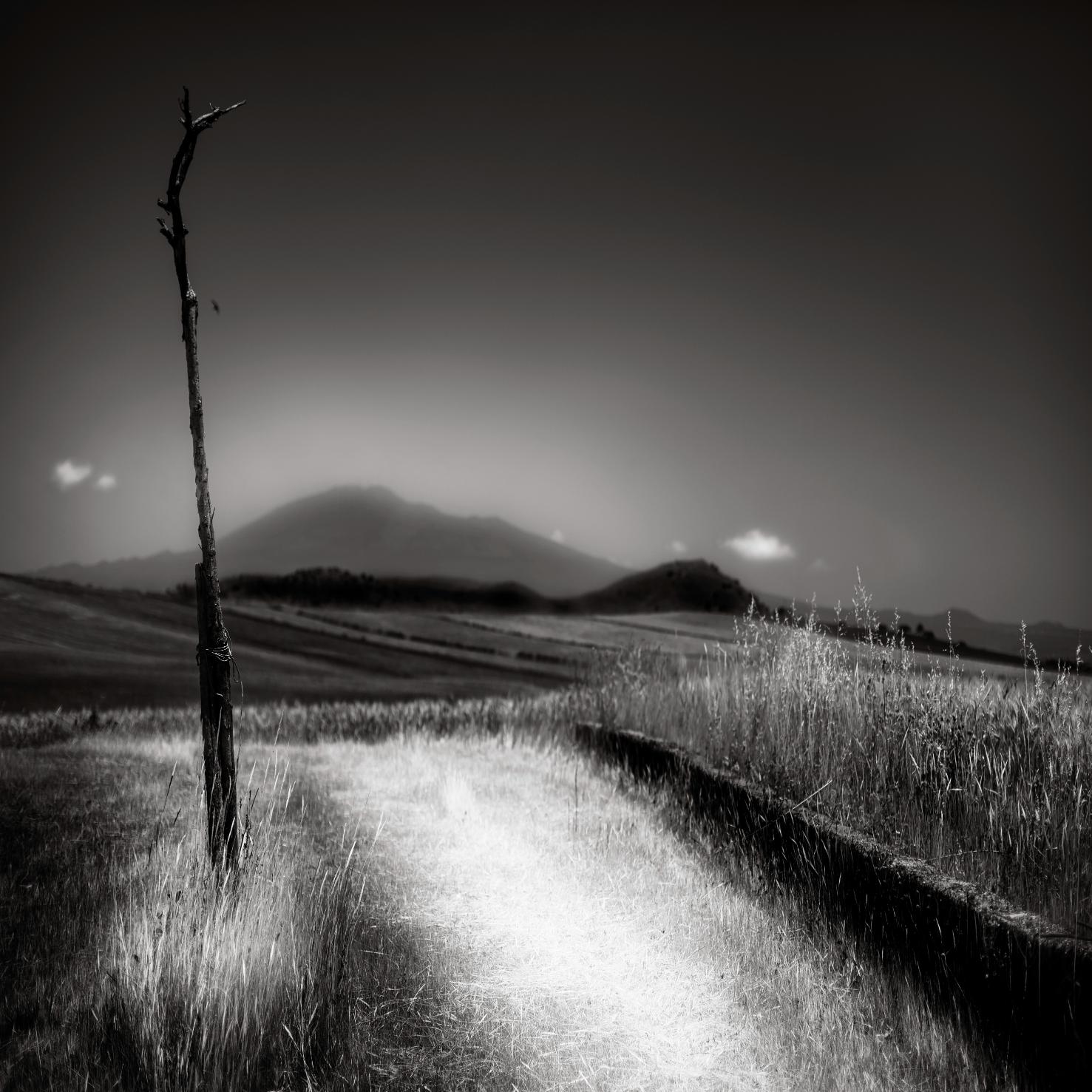 Zerotremila — 1