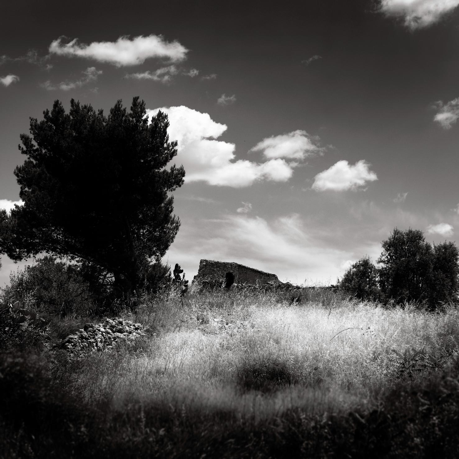 Zerotremila — 10