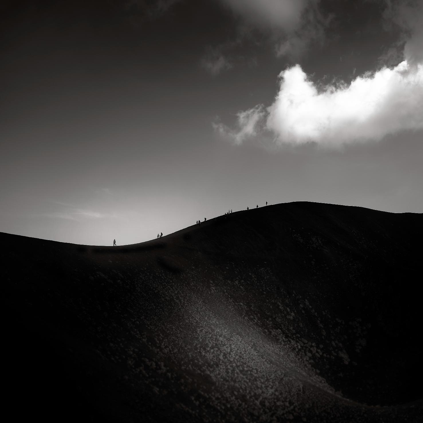 Zerotremila — 15